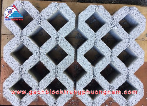 Gạch trồng cỏ 80x260x390